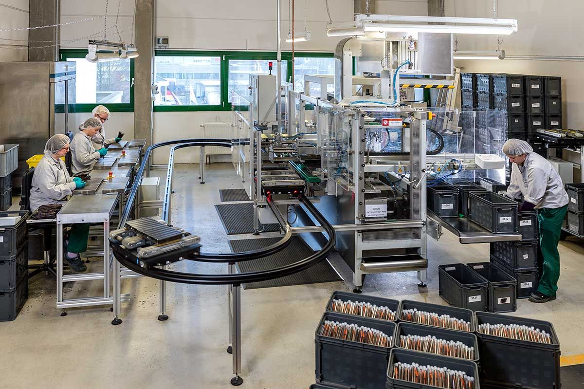 Vanilleschoten-Einsteckmaschine