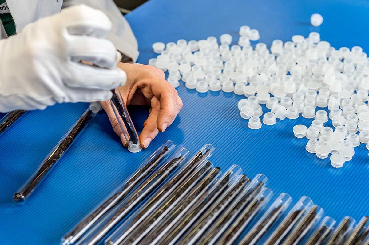 Handabpackung Vanilleschoten